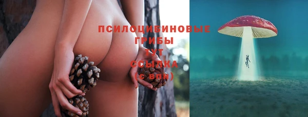 apvp Алзамай