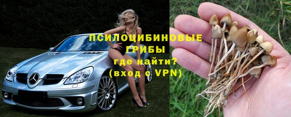 apvp Протвино