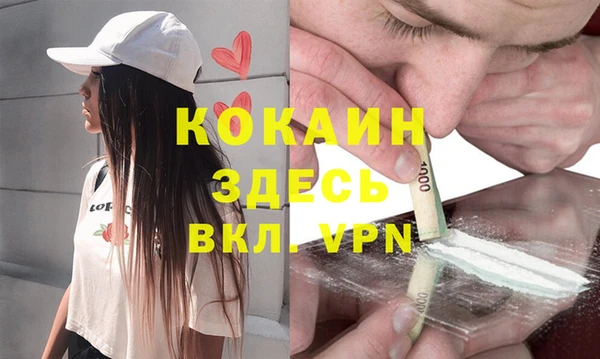 стаф Абинск