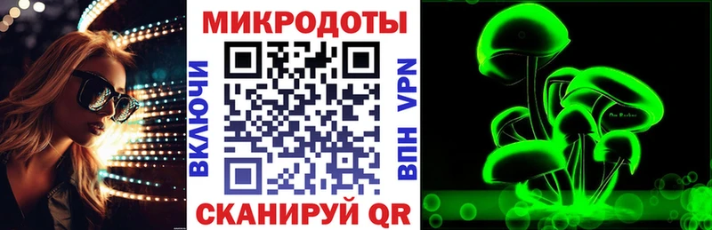 Псилоцибиновые грибы Cubensis Карабаново